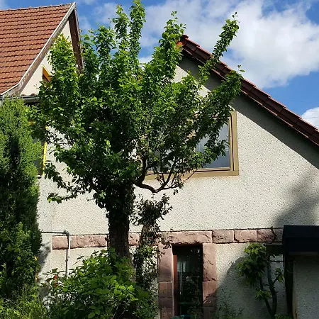 Am Kirchberg Kurort Steinbach-Hallenberg