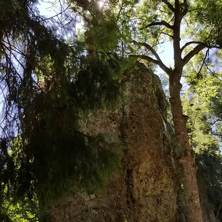 公寓 Am Kirchberg Kurort Steinbach-Hallenberg