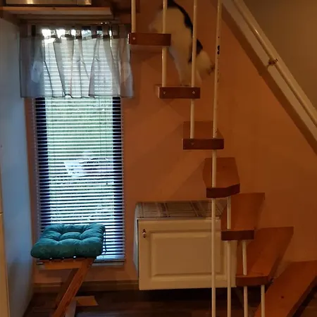 Am Kirchberg * Kurort Steinbach-Hallenberg