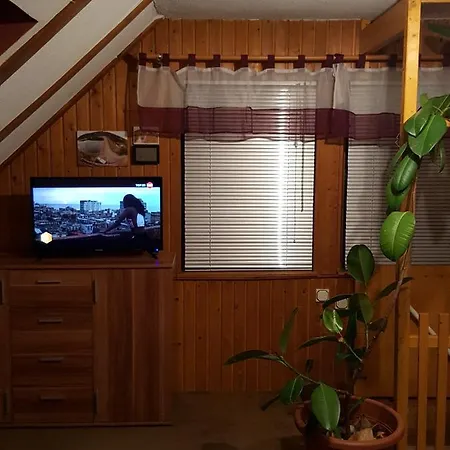 公寓 Am Kirchberg Kurort Steinbach-Hallenberg