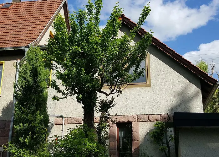 Am Kirchberg Kurort Steinbach-Hallenberg