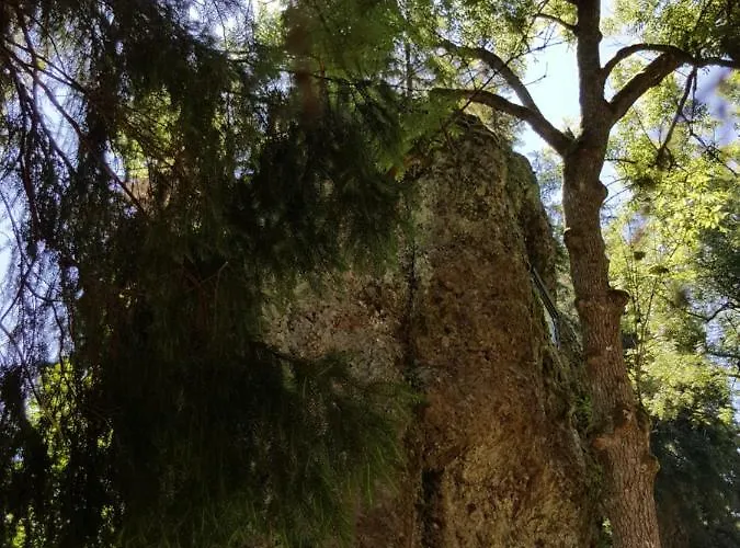 Apartamento Am Kirchberg Kurort Steinbach-Hallenberg