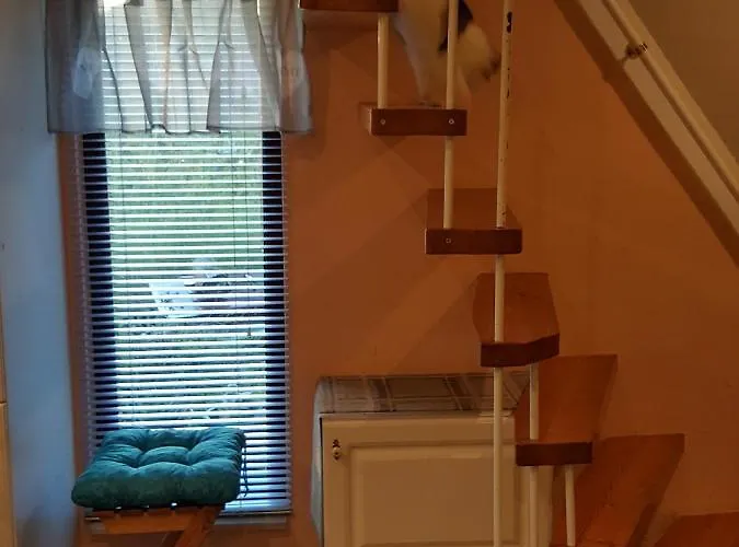 Am Kirchberg * Kurort Steinbach-Hallenberg