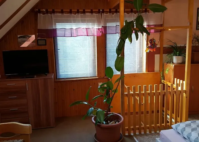 アパート Am Kirchberg Kurort Steinbach-Hallenberg